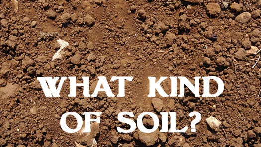 What Kind of Soil?