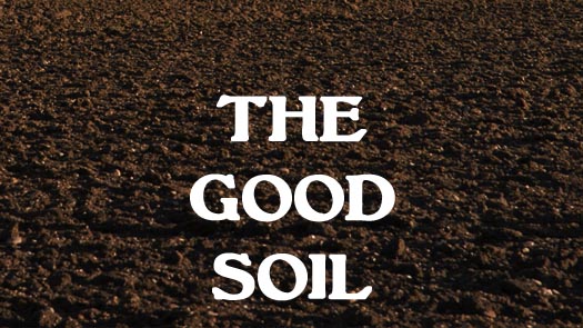 The Good Soil – Article Series