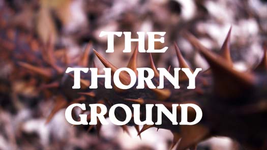The Thorny Ground