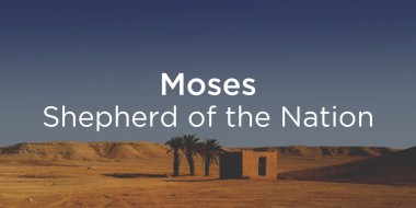 View posts from series: Moses - Shepherd of the Nation